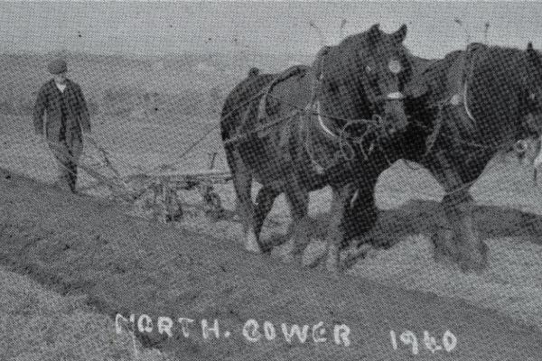 RDPMHC0038 ED017.jpg