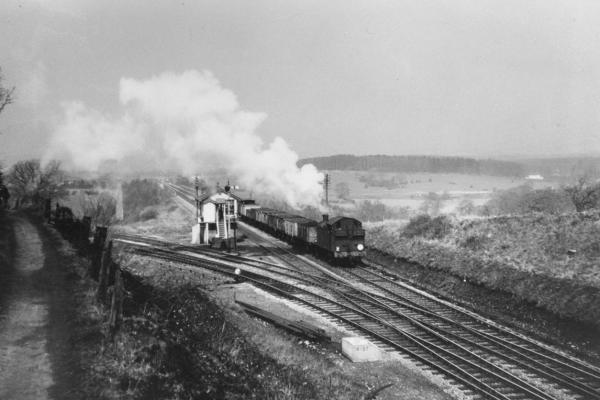 VOG04130.jpg