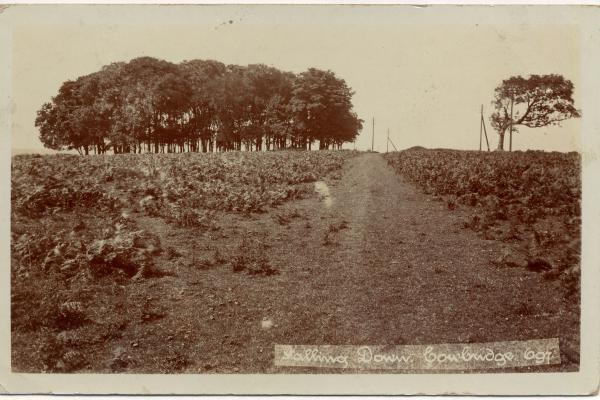 chs09501 Stalling Down early 1900s.jpg
