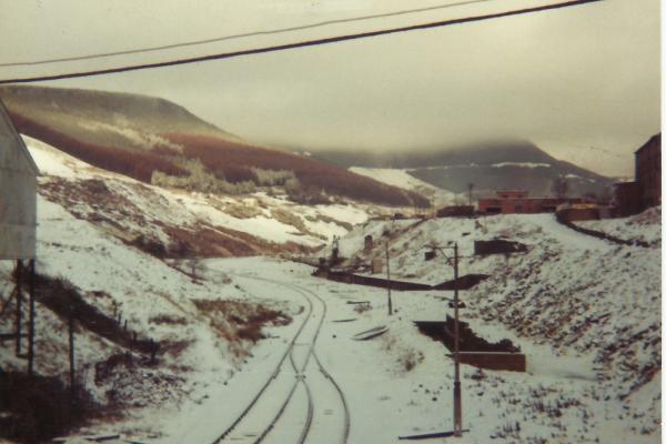 BG__000445.jpg