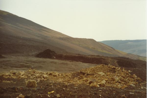 BG1_000005.jpg