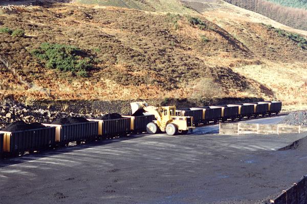 BG1_000062.jpg