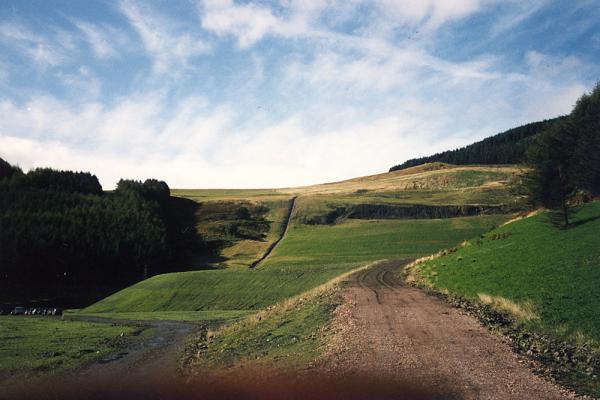 BG1_000112.jpg