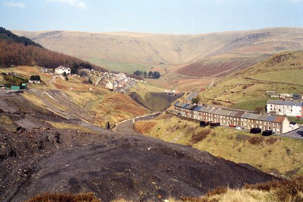 BG1_000115.jpg