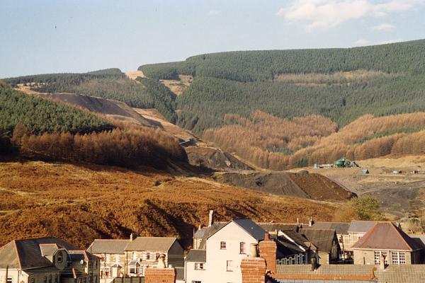 BG1_000126.jpg