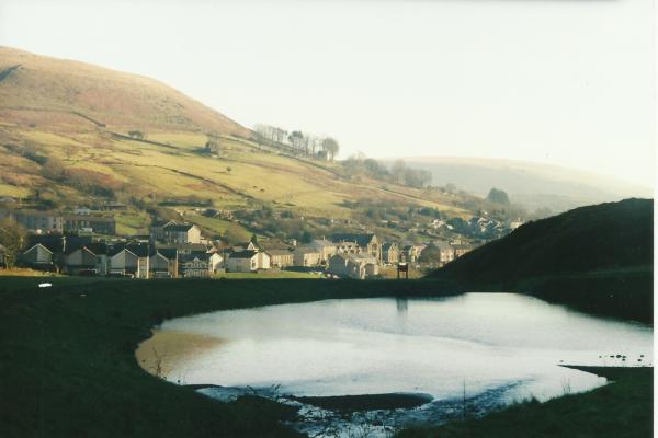 BG1_000145.jpg