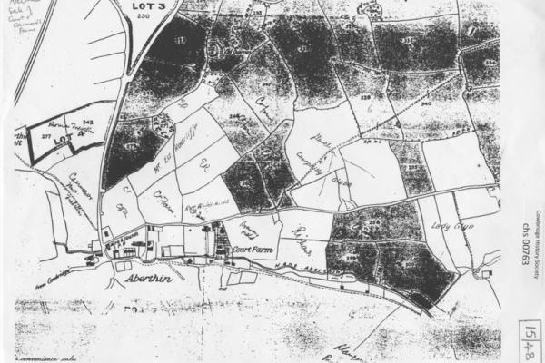 1019546.jpg