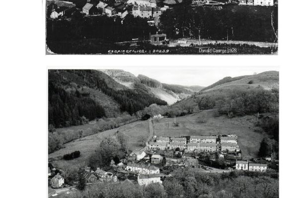 1103456.jpg