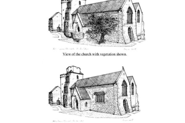 1115946.jpg