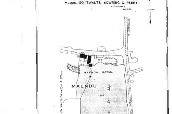 1168131.jpg