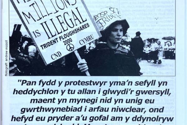 1553981.jpg
