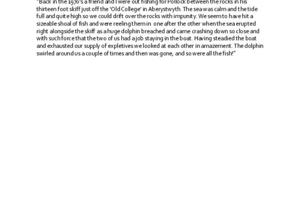 1618681.jpg