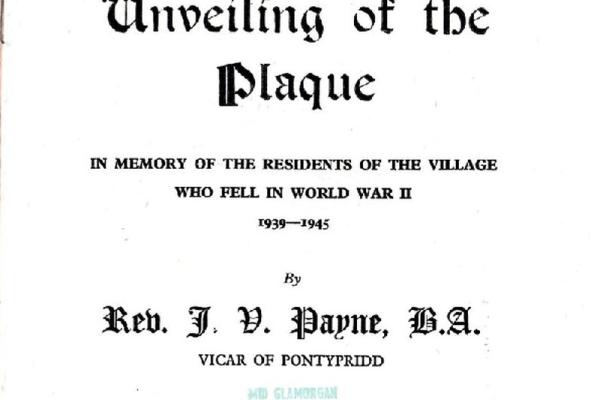 2238321.jpg