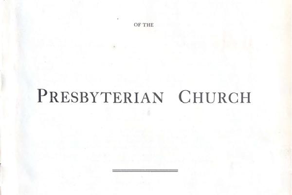 2248231.jpg