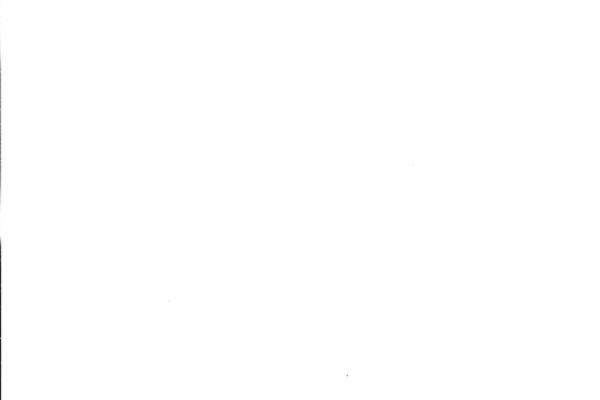 2258361.jpg