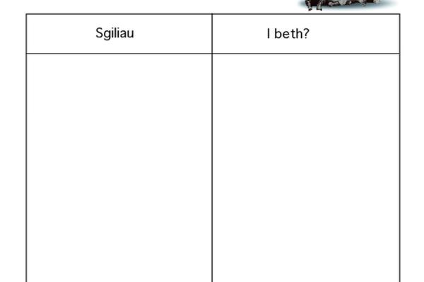 381090.jpg
