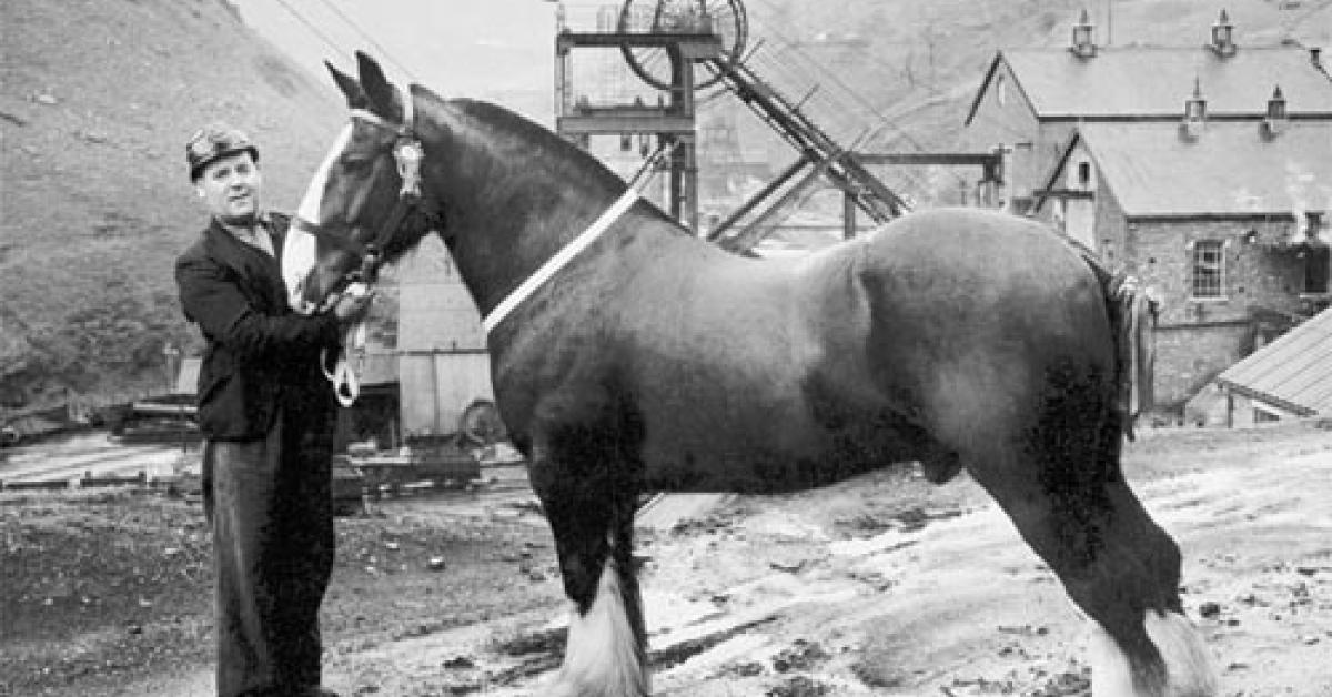 able-of-glyncorrwg-colliery-people-s-collection-wales