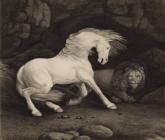 Horse surprised by a Lion by George Stubbs
