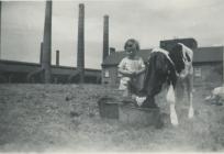 Machynys Farm, Llanelli