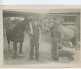 Glan-yr-Ynys Farm, Bwlch y Gwynt, Llanelli