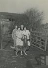 Family at Glan-yr-Ynys Farm, Llanelli