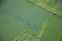  NEWTON LODGE, CROPMARK ENCLOSURE W OF