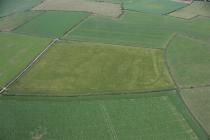  NANT FFLYMAN, CROPMARK ENCLOSURE SOUTH-WEST OF