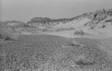  Dunes at Llanenddwyn