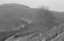  ARCH (THE); JUBILEE ARCH, PONTARFYNACH