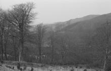  ARCH (THE); JUBILEE ARCH, PONTARFYNACH