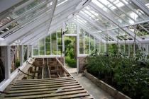 Greenhouse at Plas Llanerchaeron walled garden
