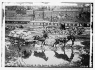 British strike - extra fodder for pit ponies,...