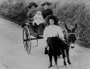 A ride in a donkey cart