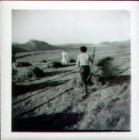 Haymaking on the farm, 1960's