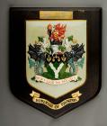 Plaque awarded by Borough of Rhondda to Gareth...