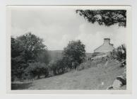 Penrhiw cottage and field from the side