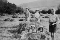 Harvest and Evacuees, Ceiriog Valley c1940