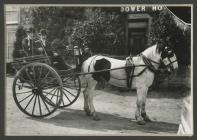 Glendower Hotel, Goodwick