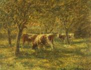 Cows in the Orchard/ Harry Fidler/Date unknown 