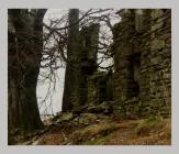 Esgair Milwyn ruins detail