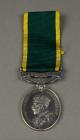 The Territorial Efficiency Medal awarded to...