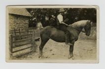 Hugh Griffiths on his horse
