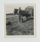 Haymaking in Cwmystwyth