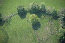 LLANBEDR, STANDING STONES