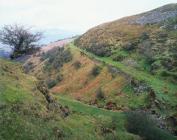 HILL'S TRAMROAD