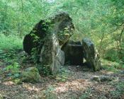 TWLC-Y-FILIAST, CHAMBERED TOMB