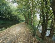 CRAIG Y DUKE RAISED EMBANKMENT, TREBANOS