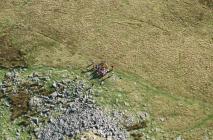 CARN BICA, SW OF PENYGROES