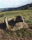 PEN-Y-WYRLODD LONG BARROW;PENYRWRLODD LONG BARROW