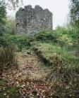 CLYNE WOOD ARSENIC AND COPPER WORKS, IVY TOWER